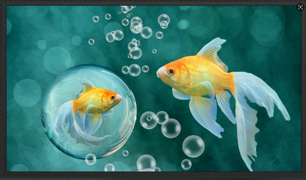 High-brightness LCD products for a digital signage supplier portfolio
